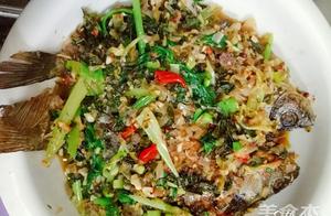 How to Make Red Braised Carp – No Vinegar, Fresh and Flavorful Fish with No Fishy Smell, Loved by the Whole Family