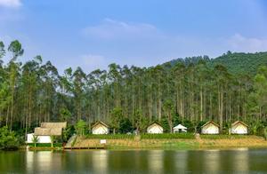 Zhaocheng's First Star Tent Camp - Catclaw Valley! Open Now @ 1h+ Drive from Guangzhou