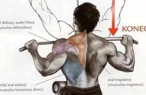 2 High Pulley Downs Variations, Strengthen Your Latissimus Dorsi!