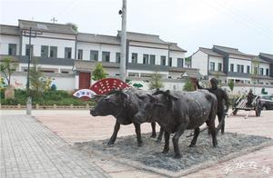 Large-Scale Campaign for Beautiful Rural Construction in Yuquan Town, Qinzhou District