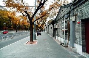 From the Beach Back Lane to Jingshan Gate: A Journey Through Time and Culture
