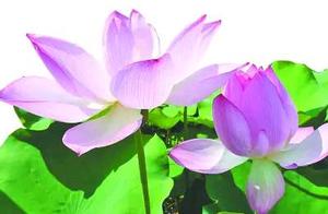 Every Day and Every Year Should Not Be Wasted, Otherwise Life Will Be Without Regret