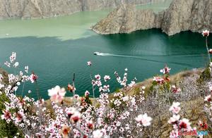 Spring Arrives, Flowers Bloom at Liu Jia Gorge