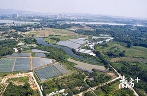 Creative Pastoral! Huizhou Yuanyin Ecological Garden Awarded National 3A-Level Scenic Area