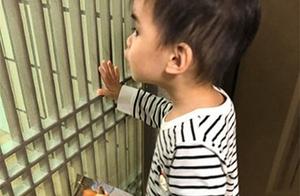 Did the Deceased Dog Return? Child Shouts Photos Show It, Parents Unbelieving