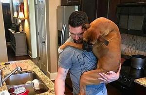 Giant Dogs Hold Uncontrollably, Afraid to Adopt? In Reality, Those Who Have Them Are Already Enjoying It.