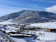 Litou, Sichuan: 'Walking on Snow' Pasture