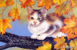 So Cute Watercolor Cats and Dogs – Do You Like Them?