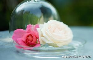 The deepest love, the most painful hate, the most desolate disappointment, has never been towards others, but towards oneself.