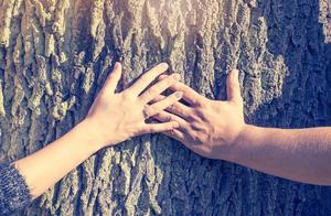 The Best Friendship Is Offering Your Back