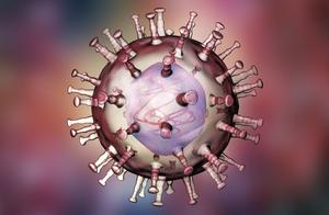 Why Have Outbreaks of Epidemics in the Past 50 Years All Been Related to Bats?