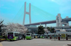 Checking out Shanghai’s Most Beautiful Bus Stops – Do You Know Where They Are?