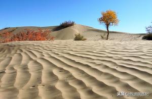 Through the Taklamakan Desert: More Than Just the Tarim Oil Highway