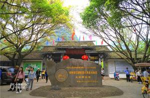 1400-Year-Old Tree in Guilin, Guangxi, Requires a ¥20 Ticket, But Tourists Still Rush to See It