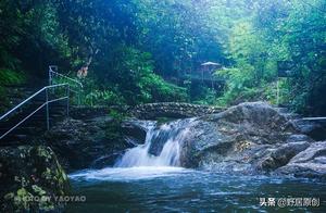 Original Composition: Seven-Character Poem "Bamboo Curve in the Wild Path, Dream of a Small Stream"