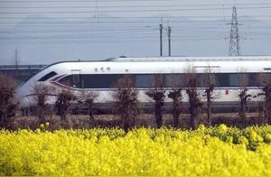 Train to Spring! Stunning Photos from Yutao – Like Poetry and Painting