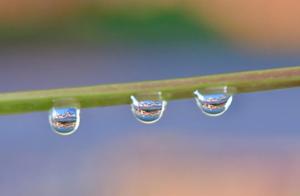 Magnificent Yongyang: Water Droplets Capture the Beauty of Wuchang!