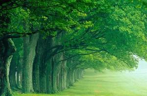 Standing Tall, You Are the Most Beautiful Landscape