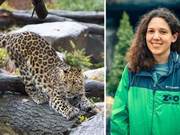 Zoo Animal Keepers in Staten Island Let Animals Roam Free During Lockdown