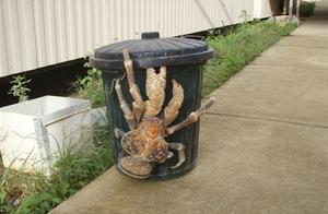 The World's Largest Terrestrial Crab, Able to Crack Coconuts, Now Struggling on Local Residents' Tables