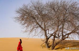 China Doesn't Lack Water: The Desert, Once Called 'Outer Jiangnan,' Now a Beijing Dust Source