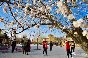 Peach Blossoms Under Mengda Mountain [Sand Mountain], Yuequan Spring Town Full of Peach Blossoms Attract Visitors