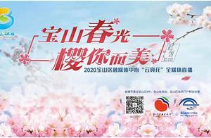 Baoshan Spring Light·Cherry You Are Beautiful” Cloud Cherry Blossom Viewing