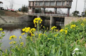 Inner Meaning, Beautiful Scenery! Cheng Zhuang Village, Zhaozhuang, 'Revived'!