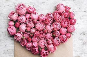 Heart-Touching Love Phrases: 'I Like You,' More Than Just Ambition