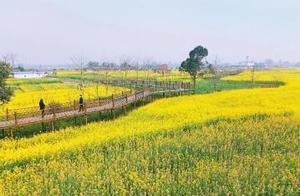 Fragrant Spring at Guanghan Flower Park