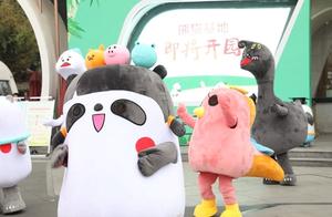 Chengdu Panda Base Opens! Long-Missed ‘Gong Gong’ Pandas Remain Adorable