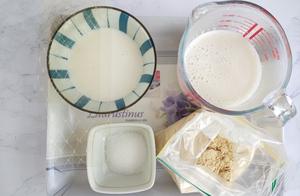 Don't Waste Leftover Soy Milk! Creative Ways to Make Fragrant and Smooth Soy Milk Pudding