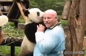 Foreign Tourists in China '' Pandas, Sparking Envy Among Netizens