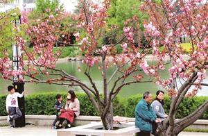 Hiking with Young People, Enjoying Spring Scenery