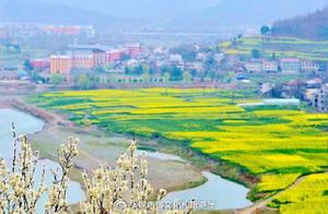 Ningqiang: Spring Fills the Hanjiang Source, Flowers Mesmerize the Eyes