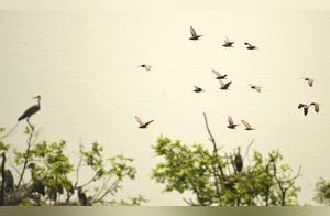Changshou, Chongqing: Green Banks, Clear Water, White Egrets