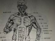 Hidden Benefits of Leg Exercises