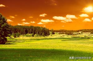 Silent Wilderness (Group of Poems)