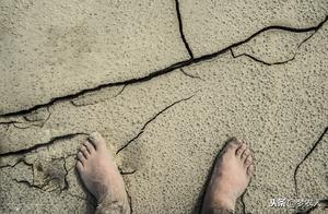 Reflections on Life: Awakening and Intoxication