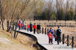 Beyond the City: Wild Duck Lake Wetland Park - A Perfect Place for Spring Scenery