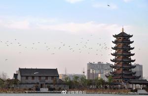 Shuixu County, Zhengzhou: "Zaitai Bird" (Central Plains Water City)