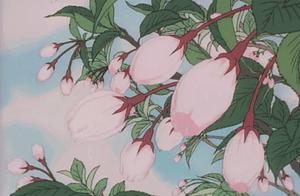 Spring Warmth and Blossoms: A Spring Feast Together