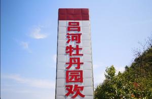 Lühe Town, Yuyang County's 1,000-Mu Oil-Bearing Peony Garden - The Perfect Place to Admire the Blooming Peonies