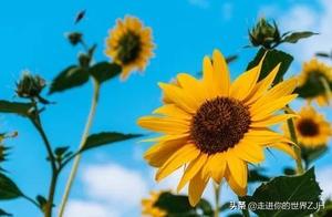 Maintain a Positive Outlook, See Through Life's Challenges, and Live a Worry-Free Life