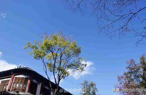 Traveling to Dali Ancient City in Yunnan: Don't Do These 6 Things, or It's Like You Didn't Come