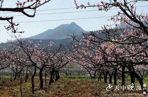 Bazhangdian: Bai Longquan Ten Thousand Mu Peach Blossom Garden in Full Bloom
