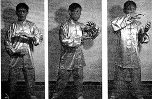 Yang Style Small Frame Taijiquan Internal Silk Thread Technique – Fixed Step Rotating Taijiquan Ball (Down)