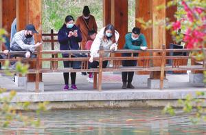 Spring Excursion to Mount Luangshan