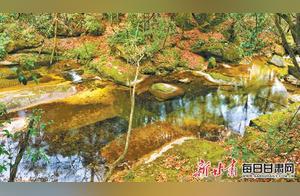 Who Composed the Melody of the Mountains and Streams? Baofugou, a Hidden Water Realm in the Deep Qinling Mountains West