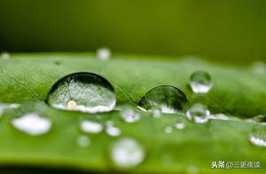 Let Diligence Defeat Laziness, Let Strength Defeat Weakness